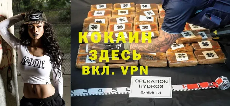 Cocaine Боливия  как найти закладки  Нижняя Тура 